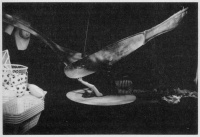 Zur dreizehnten szenischen Einheit - Das erste Strukturprinzip der Vereinzelung: Das Eßbesteck (Messer, Gabel, Teller) verselbständigt sich zum 3m-Format und beginnt, den Esser so zu bearbeiten wie der Esser sonst das Essen.